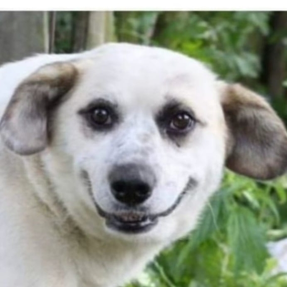 Meet your Posher, Daniel - Picture 1 of 1